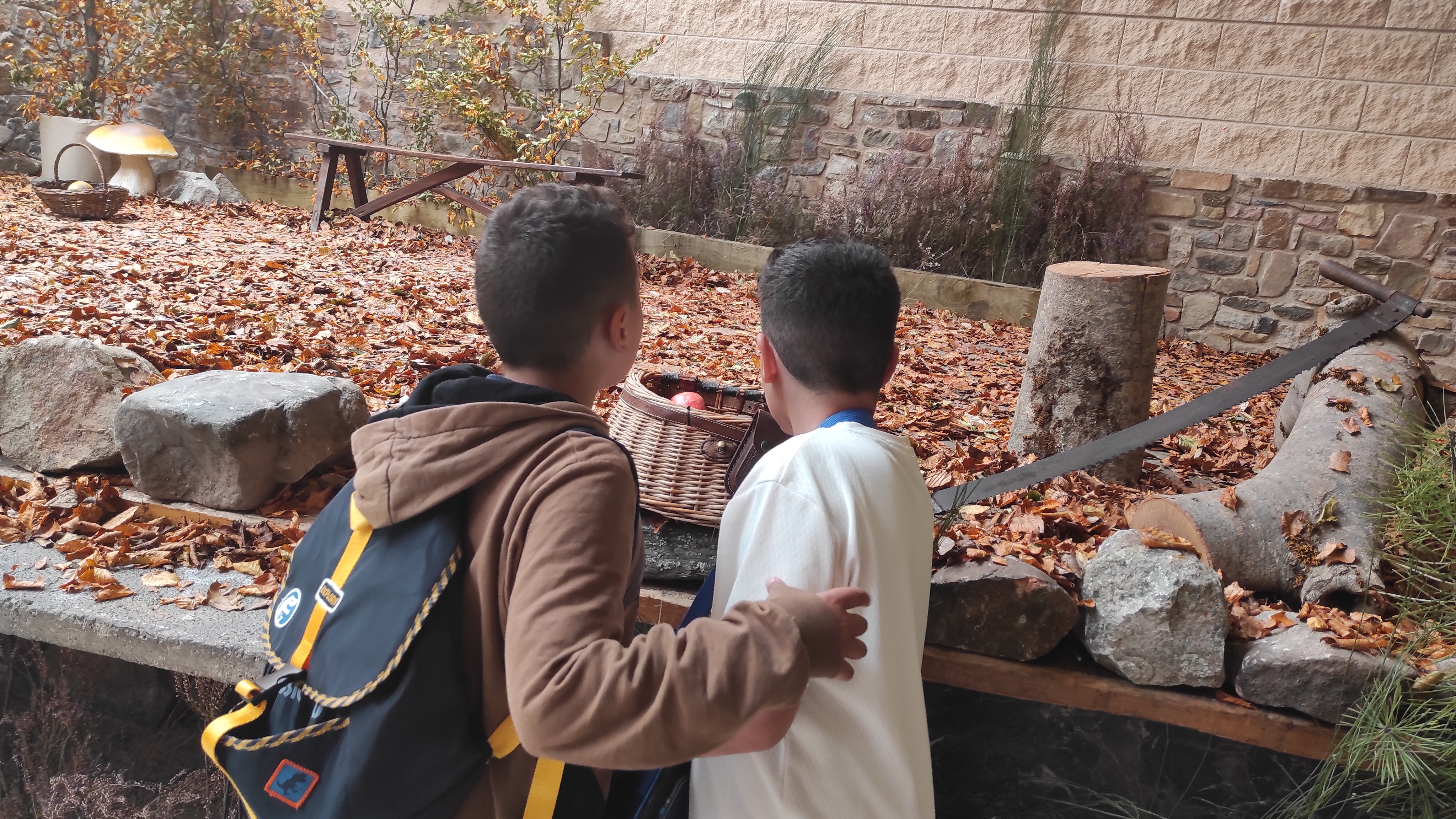 Copia de IMG_20251030_122730.jpg